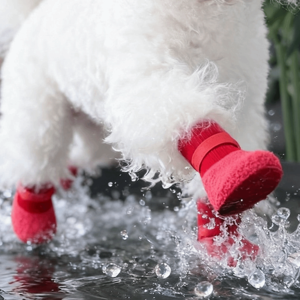 Waterproof Winter Boot - 4pcs/set Fashion Adjustable Non-Slip Dog Shoes