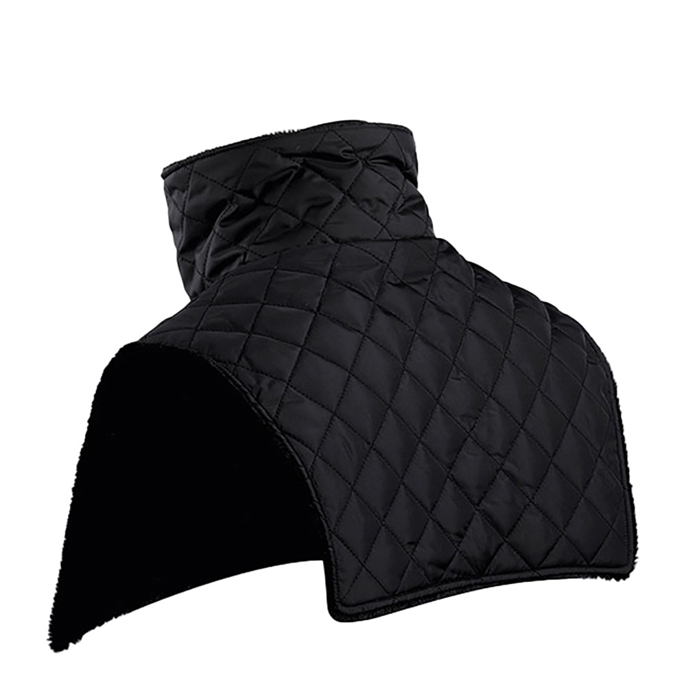 Motorcycle Neck Warmer Windpro - Neck Gaiter Fleece 리뷰 및 가격